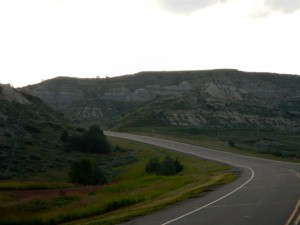 DSCN2278