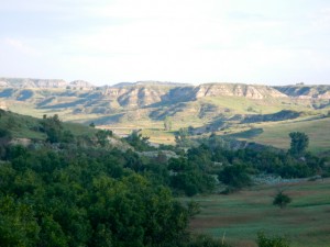 DSCN2279