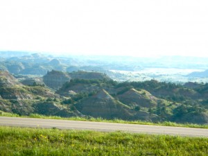 DSCN2294