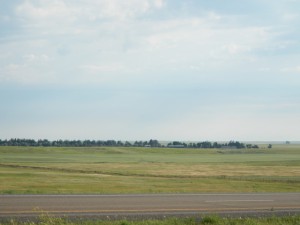 DSCN2295