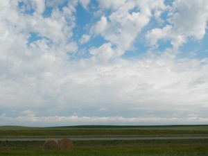 DSCN2322