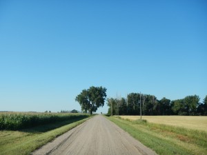 DSCN2858