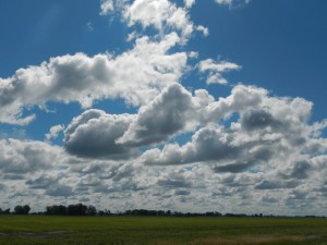DSCN2888