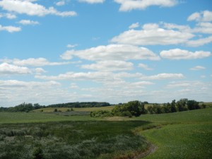 DSCN2910