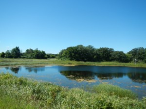DSCN2964