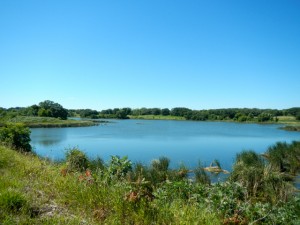 DSCN2965