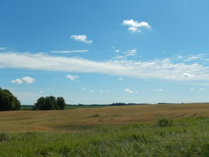 DSCN3024