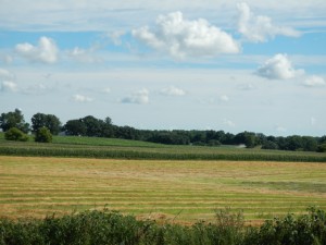DSCN3029