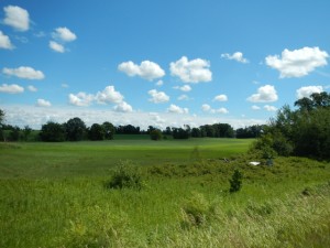 DSCN3044