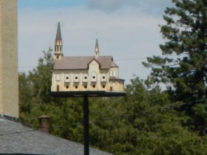 DSCN3067