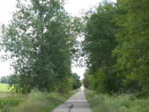 DSCN3068