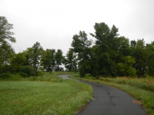 DSCN3080