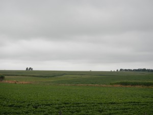 DSCN3146