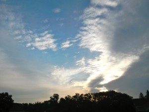DSCN3170