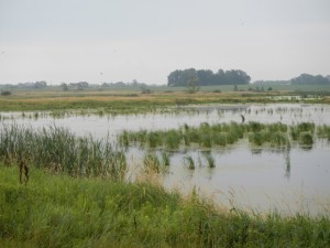 DSCN3190