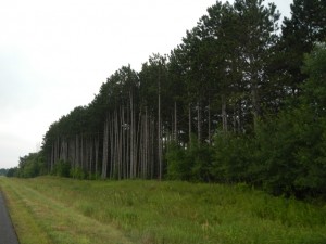 DSCN3209
