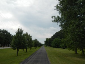 DSCN3217