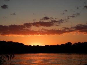 DSCN3241
