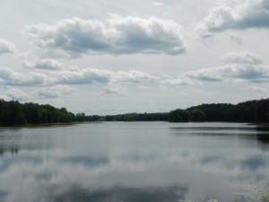DSCN3338