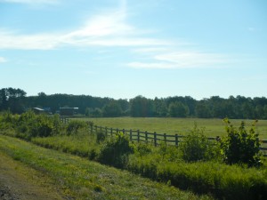 DSCN3447