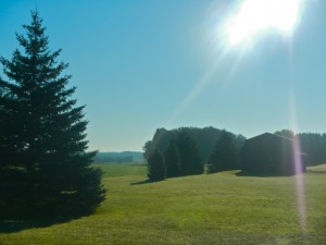 DSCN3732