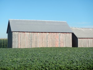 DSCN3740