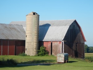 DSCN3741