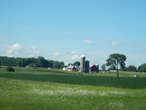 DSCN3776