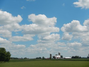 DSCN3803