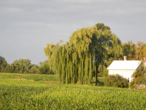 DSCN3817