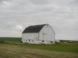 DSCN3852