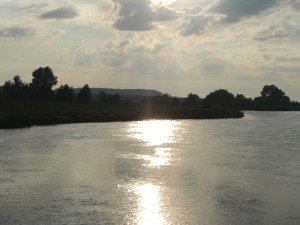 DSCN3930