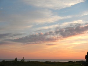 DSCN3940