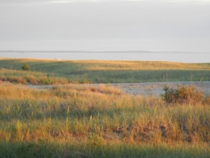 DSCN3968