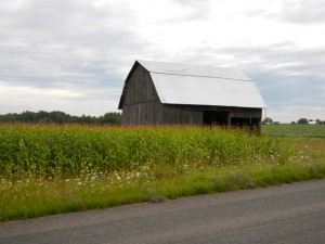 DSCN4003