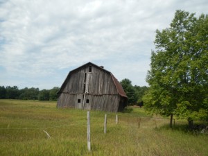 DSCN4014