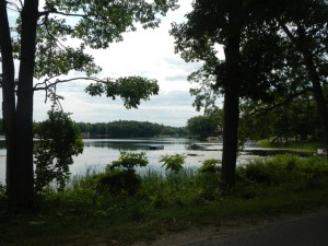 DSCN4018