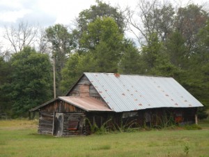DSCN4024