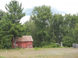 DSCN4026