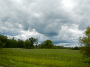 DSCN4036