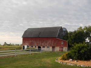 DSCN4055