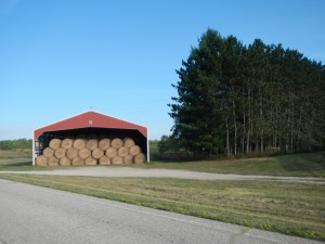 DSCN4068