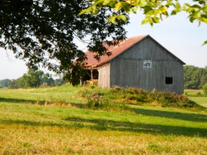 DSCN4079