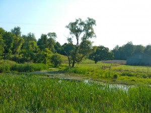 DSCN4082