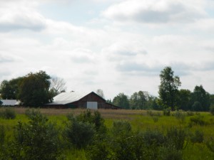 DSCN4094