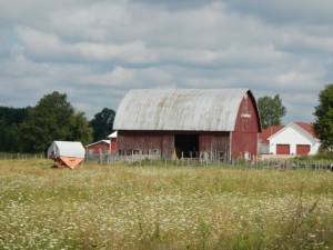 DSCN4105