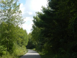 DSCN4124