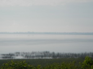 DSCN4751