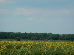 DSCN4836