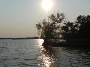 DSCN4854